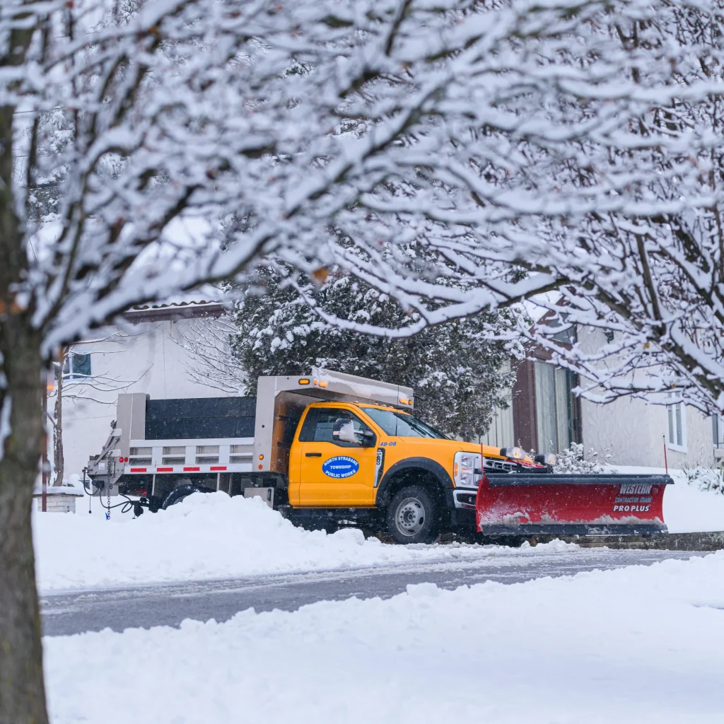 pexels-jay-brand-1763356224-35030442